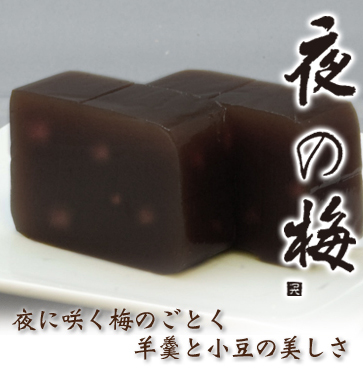 練羊羹　夜の梅