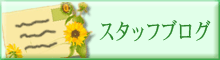 スタッフブログ