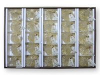 和菓子 しずく梅25個入